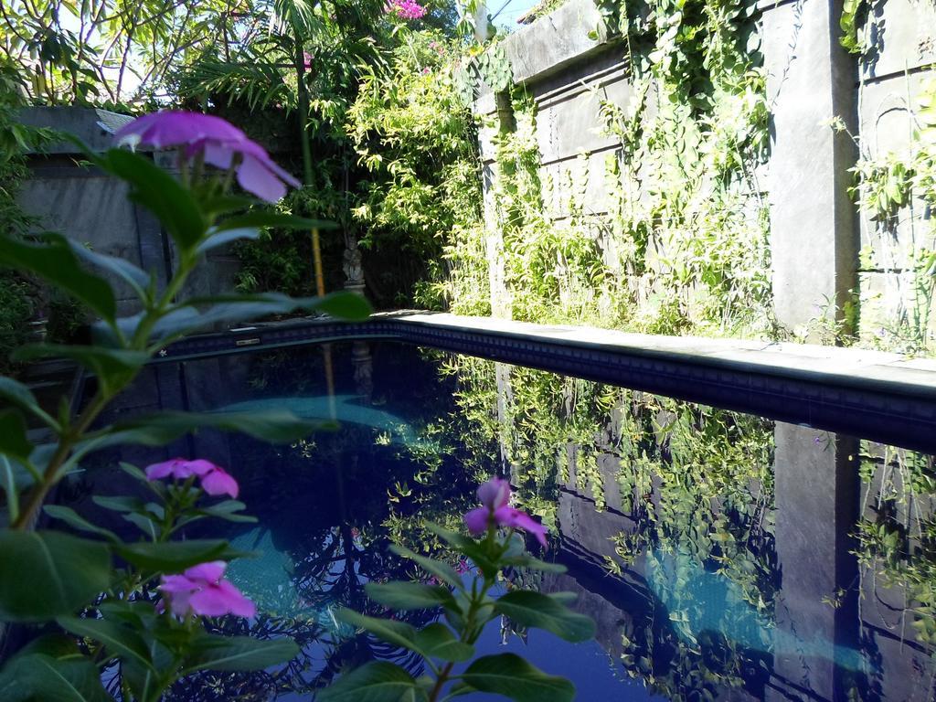 บาหลีอามานดาร์ลิงค์เฮาส์ Hotel ชังกู ภายนอก รูปภาพ